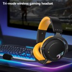 Card Reader Supplier - Type-C Multi-function TF