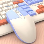 Keyboard Mouse Set Supplier - Fashionable Color Block