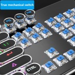 Mechanical Keyboard Manufacturer - Retro Punk Electroplated