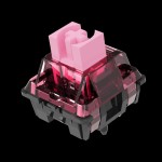Keyboard Switches Factory - TTC Kaihua Axis