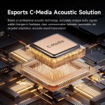 Computer Speakers Factory - Gaming Speakers RGB