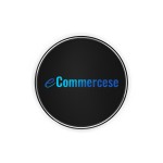 Wireless Charger Manufacturer - Portable Fast 10W Custom Logo Gift