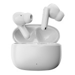 TWS Earphones Manufacturer - AI Translation Real Time Bluetooth Earbuds