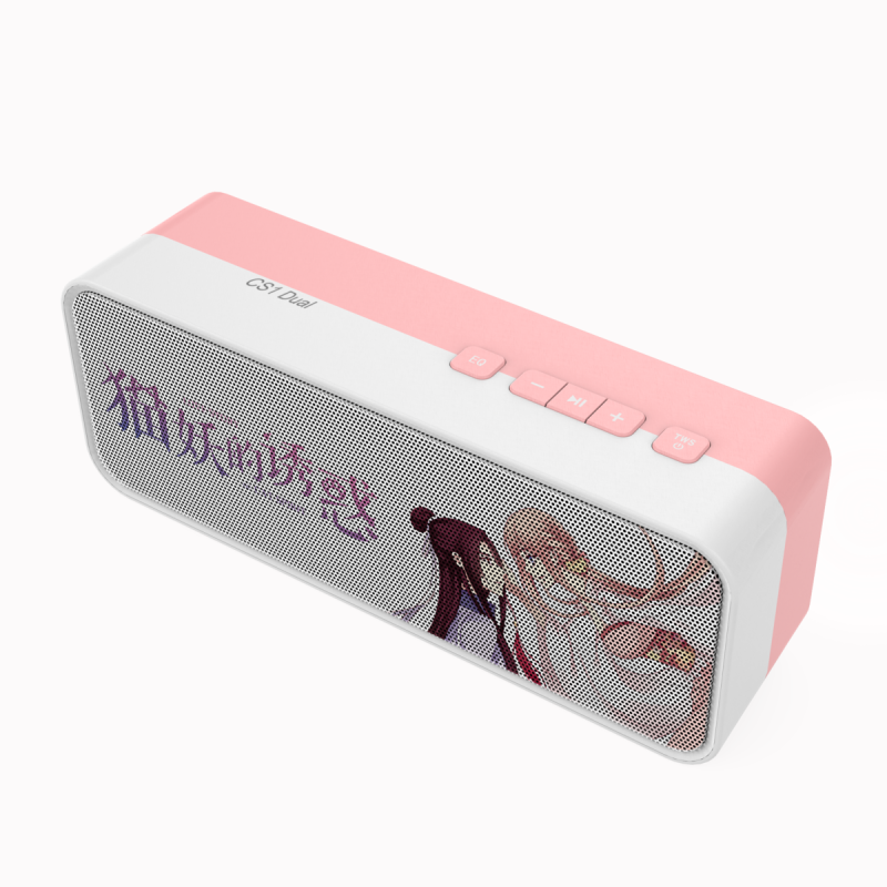 Bluetooth Speaker Manufacturer - CS1 Music Box Home Hifi With Microphone