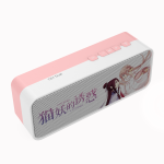 Bluetooth Speaker Manufacturer - CS1 Music Box Home Hifi With Microphone