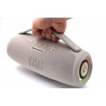 Portable Speaker Supplier - TG418 40W RGB