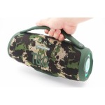 Portable Speaker Supplier - TG418 40W RGB