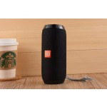 Wireless Speaker Manufacturer - TG117 OEM