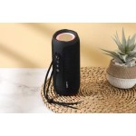 Portable Speaker Supplier - TG-447 RGB LED