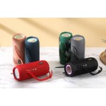 Portable Speaker Supplier - TG-447 RGB LED
