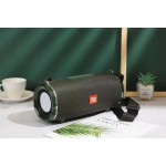 Portable Speaker Factory - Best Seller TG447