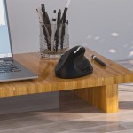 Wireless Mouse Manufacturer - High Quality Vertical Right Hand