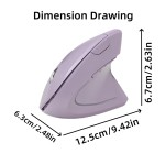 Vertical Mouse Factory - Fifth Generation Ergonomic Battery