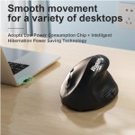 Wireless Mouse Manufacturer - High Quality Vertical Right Hand