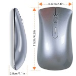 Wireless Mouse Manufacturer - Portable Dual Mode Silver Mute