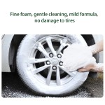 Car Cleaner Factory - Powerful Carburetor Car Cleaner