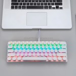 Mechanical Keyboard Manufacturer - New 61 Keys Mini RGB Wired