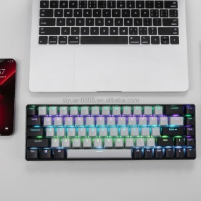 Mechanical Keyboard Manufacturer - Cute Mini 61 Key RGB Optical