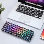 Mechanical Keyboard Manufacturer - New 61 Keys Mini RGB Wired