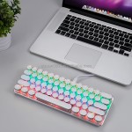 Mechanical Keyboard Manufacturer - Punk Vintage 60 Mini USB