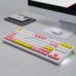 Mechanical Keyboard Factory - 87 Key RGB Lighting Cherry Gateron