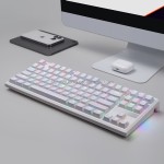 Mechanical Keyboard Factory - 87 Key RGB Lighting Cherry Gateron