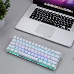 Mechanical Keyboard Factory - 60 RGB LED Backlit Type C Red Axis