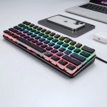 Mechanical Keyboard Manufacturer - Cute Mini 61 Key RGB Optical