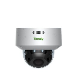 Dome Camera Supplier - Tiandy 2MP Motorized Pan-Tilt