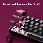 Gaming Keyboard Supplier - SUNSONNY LED Mechanical