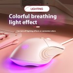 Gaming Mouse Factory - Inphic B8 Wired LED