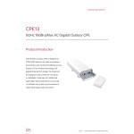 Outdoor CPE Manufacturer - IP-COM CPE13(MS-5AC)
