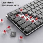 Mechanical Keyboard Manufacturer - Red Dragon Low Profile 75 Percent