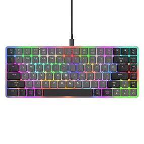 Mechanical Keyboard Manufacturer - Red Dragon Low Profile 75 Percent