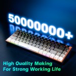 Mechanical Keyboard Manufacturer - Hot Swappable 68 Keys PBT Keycaps