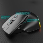Wireless Mouse Factory - COUSO Triple Mode Bluetooth RGB