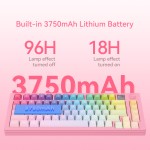 Mechanical Keyboard Factory - 82 Keys Bluetooth Gasket Tri Mode