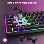 Mechanical Keyboard Manufacturer - 68 Keys Wired Ergonomic Hot Swap