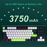 Mechanical Keyboard Factory - Bluetooth Tri Mode 75 Percent RGB