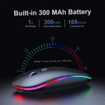 Wireless Mouse Manufacturer - Rechargeable Bluetooth 2.4GHz RGB