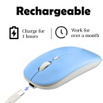 Bluetooth Mouse Supplier - Blue Portable 2.4Ghz
