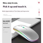 Bluetooth Mouse Manufacturer - Dual-Mode Rechargeable