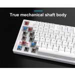 Mechanical Keyboard Supplier - Golden Supplier Mechanical
