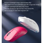 Gaming Mouse Manufacturer - Dual-Mode Ergonomic