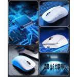 Gaming Mouse Manufacturer - Dual-Mode Ergonomic