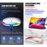 Wireless Mouse Manufacturer - Custom Maus Recargable