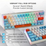 Mechanical Keyboard Factory - Factory Price Gamer