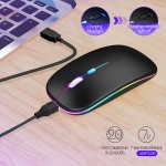 Wireless Mouse Factory - Type C Game Silent RGB