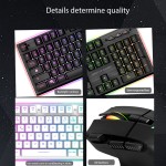 Keyboard Mouse Combo Factory - PCTENK XD50R Professionals LED Wired