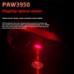 Gaming Mouse Factory - AULA Tarantula V9 Dual 8K Wireless